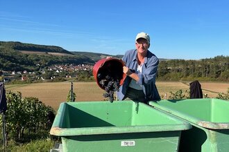 Wölpper Weine | © Wölpper Weine