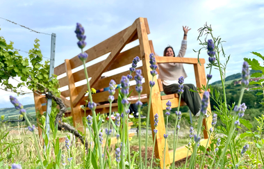 XXL Bank Markelsheim | © Unbekannt