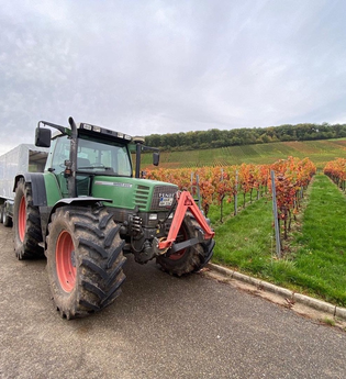 Planwagenfahrt mit dem Zabergäu-Rebell am Stromberg rund um den Weinsüden Weinort Brackenheim | © Neckar-Zaber-Tourismus e.V.