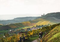 Am Württembergischen Weinwanderweg im Zabergäu mit Blick auf Burg Neipperg | Brackenheim-Neipperg | HeilbronnerLand | © Touristikgemeinschaft HeilbronnerLand