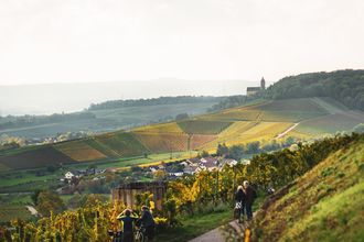 Am Württembergischen Weinwanderweg im Zabergäu mit Blick auf Burg Neipperg | Brackenheim-Neipperg | HeilbronnerLand | © Touristikgemeinschaft HeilbronnerLand