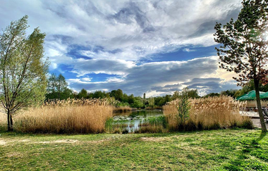 Wasserspielplatz im Ziegeleipark Böckingen | HeilbronnerLand