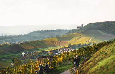 Am Württembergischen Weinwanderweg im Zabergäu mit Blick auf Burg Neipperg | Brackenheim-Neipperg | HeilbronnerLand | © Touristikgemeinschaft HeilbronnerLand