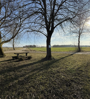 Zwischen Enzenweiler und Spindelbach | Picknickplatz | © Hohenlohe + Schwäbisch Hall Tourismus e. V.