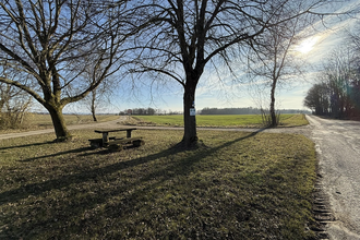 Zwischen Enzenweiler und Spindelbach | Picknickplatz | © Hohenlohe + Schwäbisch Hall Tourismus e. V.