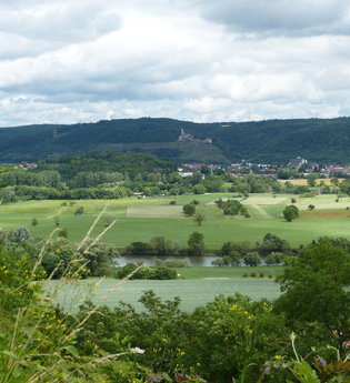 Wanderungen entlang des Neckarsteigs | HeilbronnerLand | © Bad Rappenauer Touristikbetrieb GmbH