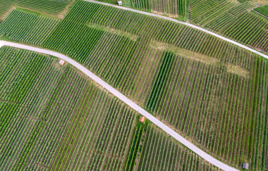 Kraichgau-Stromberg | © Gemeinde Gemmrigheim