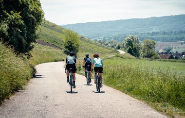 Land der 1000 Hügel - Kraichgau-Stromberg | © Saddle Stories
