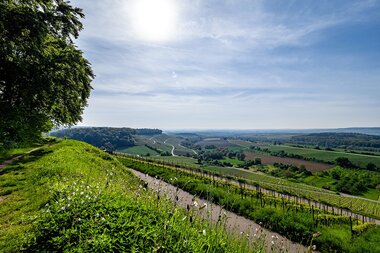 Weiter Blick in sommerliche Naturlandschaft mit grünen Wiesen, Bäumen und Weinberge. Strahlend blauer Himmel. | © Kraichgau-Stromberg Tourismus e.V., Foto: Geronimo Schmidt