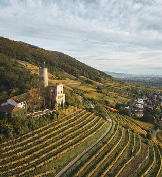Strahlenburg an der Bergstrasse | © Tourimia Tourismus GmbH