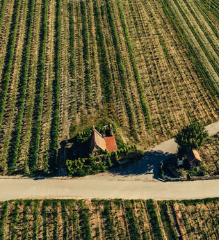 Heilbronner Wartberg | Weinregion Heilbronn & HeilbronnerLand | © Touristikgemeinschaft HeilbronnerLand e.V.