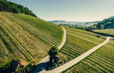Wartberg Heilbronn mit Blick ins Weinsberger Tal