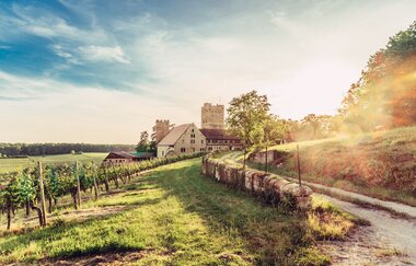 Blick auf Burg Neipperg im Zabergäu | HeilbronnerLand
