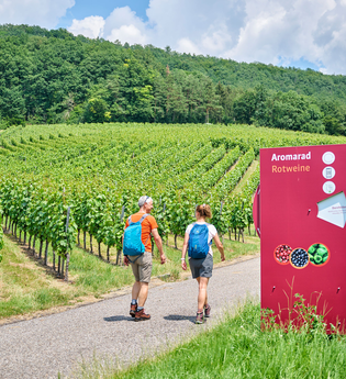 Weinwandern in Hohenlohe | © Hohenlohe Künzelsau