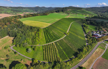 Weinlandschaft bei Bretzfeld in  Hohenlohe | © Hohenlohe Künzelsau