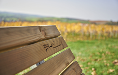 Hügel-Sofa in den herbstlichen Weinbergen | © Kraichgau-Stromberg Tourismus e.V.