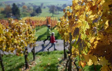 Wandern im Land der 1000 Hügel | © Kraichgau-Stromberg Tourismus e.V.