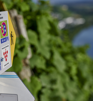 Weinregion Stromberg | © Kraichgau-Stromberg Tourismus e.V.