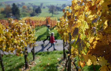 Wandern im Land der 1000 Hügel | © Kraichgau-Stromberg Tourismus e.V.