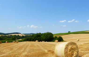 3-Bäche Rundtour | © Landratsamt Rhein-Neckar-Kreis