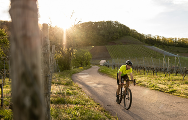 3-tägige Gravel-Bikepacking-Tour durchs Land der 1000 Hügel | © Land der 1000 Hügel - Kraichgau-Stromberg