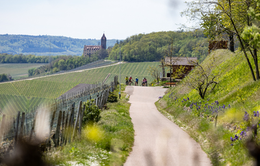 3-tägige Gravel-Bikepacking-Tour durchs Land der 1000 Hügel | © Land der 1000 Hügel - Kraichgau-Stromberg