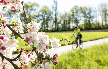 3-tägige Gravelbike-Tour im Land der 1000 Hügel – Etappe 2: Von Besigheim nach Sternenfels | © Land der 1000 Hügel - Kraichgau-Stromberg