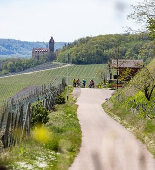 Weg in den Weinbergen | © Land der 1000 Hügel - Kraichgau-Stromberg