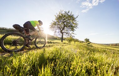 3-tägige Gravelbike-Tour im Land der 1000 Hügel – Etappe 3: Von Sternenfels nach Heilbronn | © Land der 1000 Hügel - Kraichgau-Stromberg