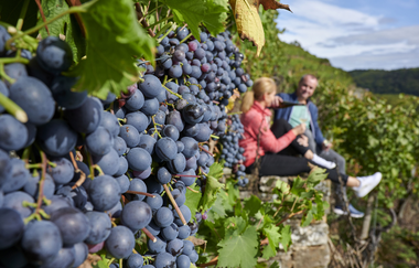 3B-Land: Steillagen-Tour | © Land der 1000 Hügel - Kraichgau-Stromberg