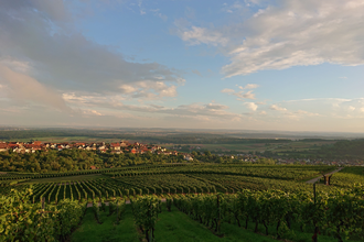 3B-Land: Stromberg-Tour | © Weingut Weiberle