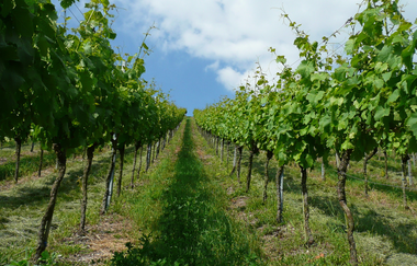 3B-Land: Stromberg-Tour | © Kraichgau-Stromberg Tourismus e.V.