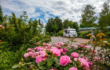 3B-Land: Stromberg-Tour | © Bönnigheim
