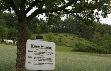 5-Täler-Tour | © Stadt Bad Mergentheim