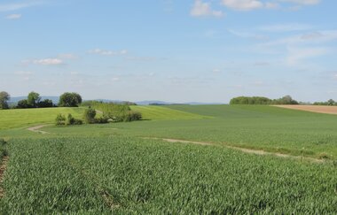 A1 - Panoramaweg Angelbachtal | © Land der 1000 Hügel - Kraichgau-Stromberg