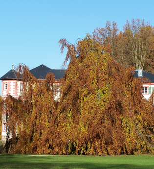 A1 - Panoramaweg Angelbachtal | © Land der 1000 Hügel - Kraichgau-Stromberg