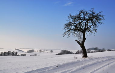 A1 - Panoramaweg Angelbachtal | © Land der 1000 Hügel - Kraichgau-Stromberg