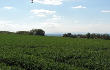 A1 - Panoramaweg Angelbachtal | © Land der 1000 Hügel - Kraichgau-Stromberg
