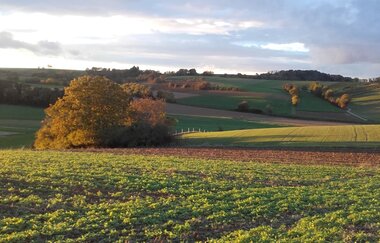 Aufnahme von einer landwirtschaftlichen Fläche | © Land der 1000 Hügel - Kraichgau-Stromberg