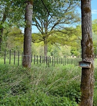 Aktionswanderweg für Familien | © Stadt Kirchberg