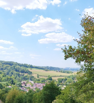 Alfred Hirth Weg: Blick auf Ohrnberg | © Touristikgemeinschaft Hohenlohe e. V.