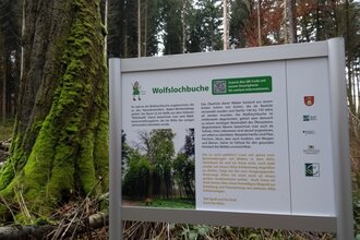 AliSa Erlebnisweg Wolfslochrunde | © Gemeinde Helmstadt-Bargen
