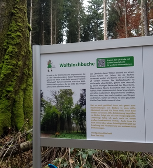 AliSa Erlebnisweg Wolfslochrunde | © Gemeinde Helmstadt-Bargen