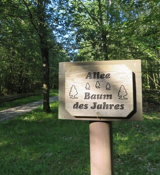 Allee der Bäume des Jahres Reichartshausen | © Gemeinde Reichartshausen