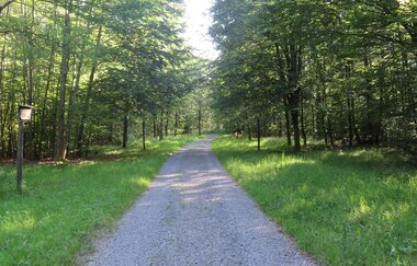 Allee der Bäume des Jahres Reichartshausen | © Gemeinde Reichartshausen