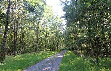 Allee der Bäume des Jahres Reichartshausen | © Gemeinde Reichartshausen