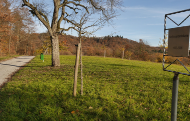 Am Blumenband entlang nach Diefenbach | © Land der 1000 Hügel - Kraichgau-Stromberg