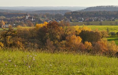 Am Blumenband entlang nach Diefenbach | © Land der 1000 Hügel - Kraichgau-Stromberg