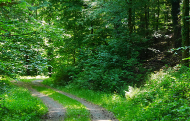 Am Schlossberg und nördlichen Stromberghang | © Land der 1000 Hügel - Kraichgau-Stromberg