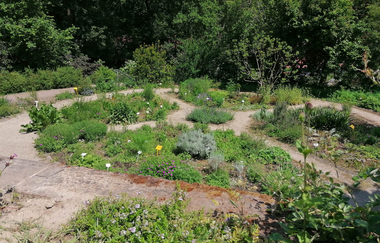 Audio-Führung Ingrid Noll | © TI Weinheim